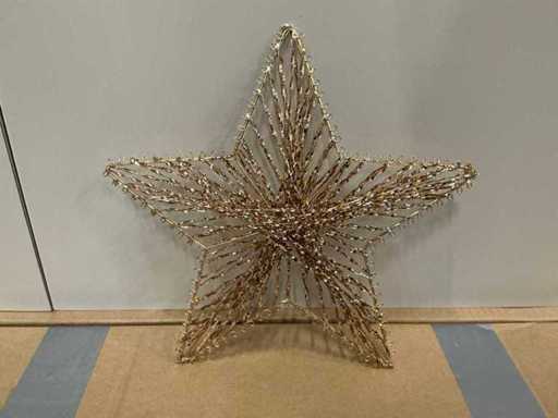 Partij christmas stars 25cm champagne (1000x)