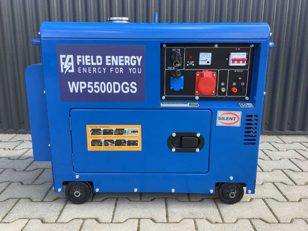 Field Energy 5500 DGS 400/230 Volt Generatore di corrente / generatore diesel