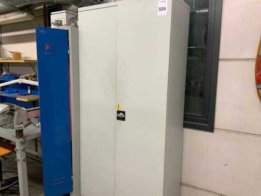 Dulapul de dosare și dulapul Ronis cu conținut (2x)