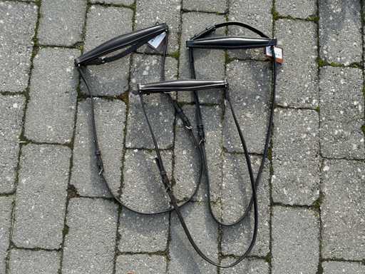 Training noseband horses (3x)