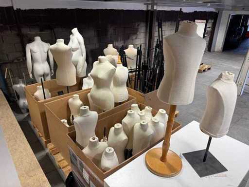 Manikin (20x)