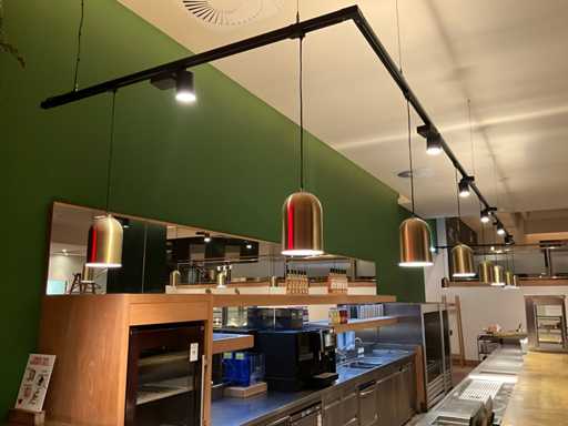 Lichtrail met 10 hanglampen en 6 spots