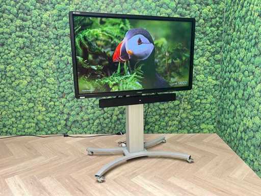 C-TOUCH - 65" full HD interactive touchscreen - tiltable