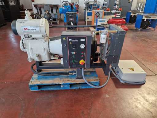 2000 PUSKA NER 30-25 Compresseur à palettes