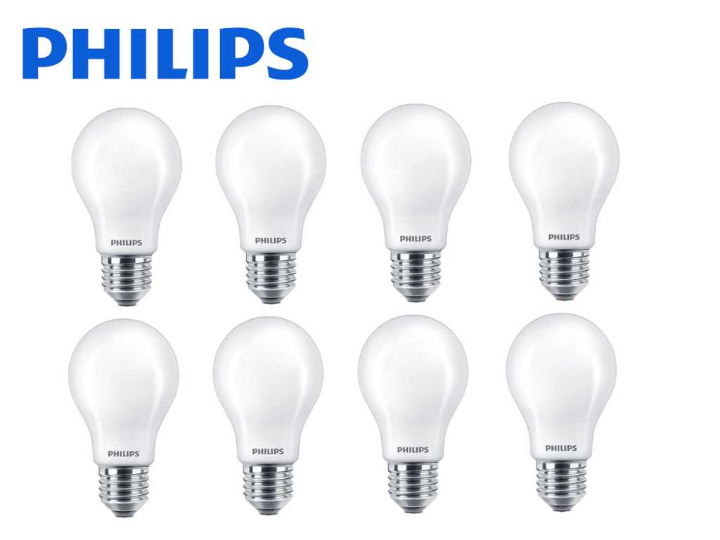 40 x Philips E27 LED Bulbs Warm White 