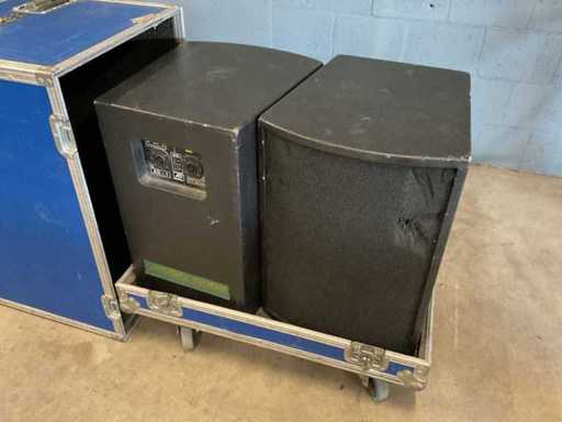Pubblico Delight AD-1 500W Set di 2 altoparlanti