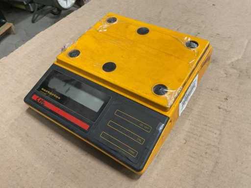 Sartorius U6100 Weegschaal