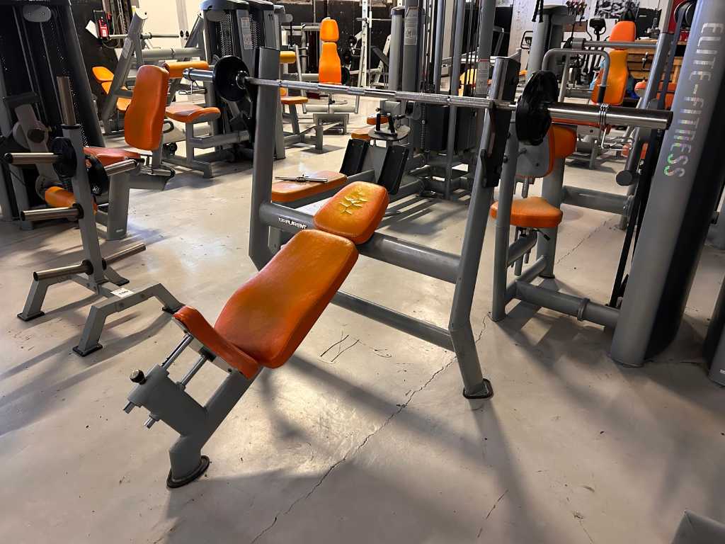 Elite fitness weight discount bench