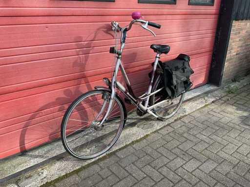 Vélo Batavus Torino