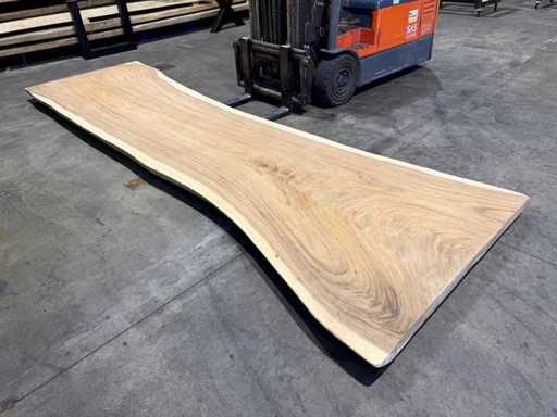 Stolec pnia drzewa suar 430 cm.