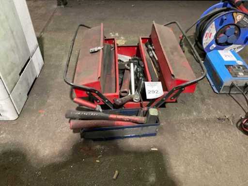 Cassetta degli attrezzi Carolus con gli attrezzi