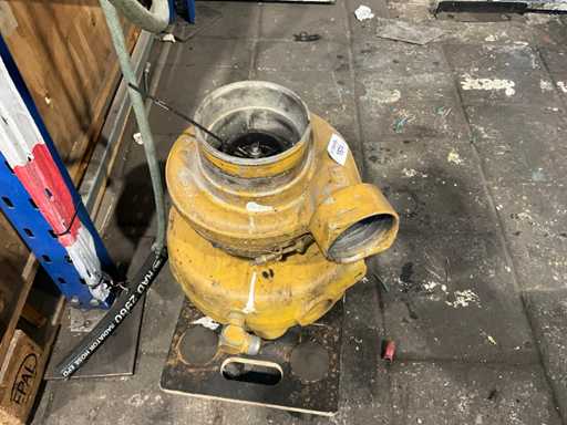 Cat Altra Parte Barca