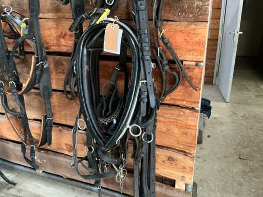 Single-in-hand harness