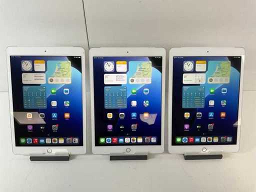 Apple iPad 7. generacji 10,2" - WiFi + Cellular - 128 GB - Silver (3x)