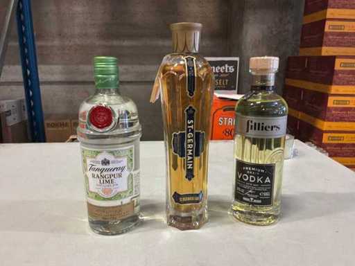 Festa di vodka, gin e aperitivi