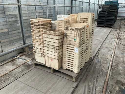 Lotto di botti di fiori