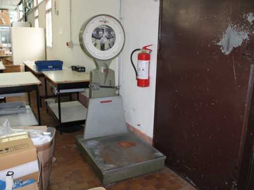 Écailles à aiguille (x3)