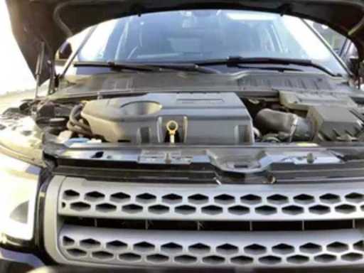 1e83f036-f144-4fff-bf83-20c3ee4582fa.mp4