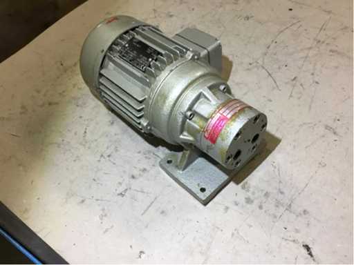 Electric motor with grease pump (PL/A/26)