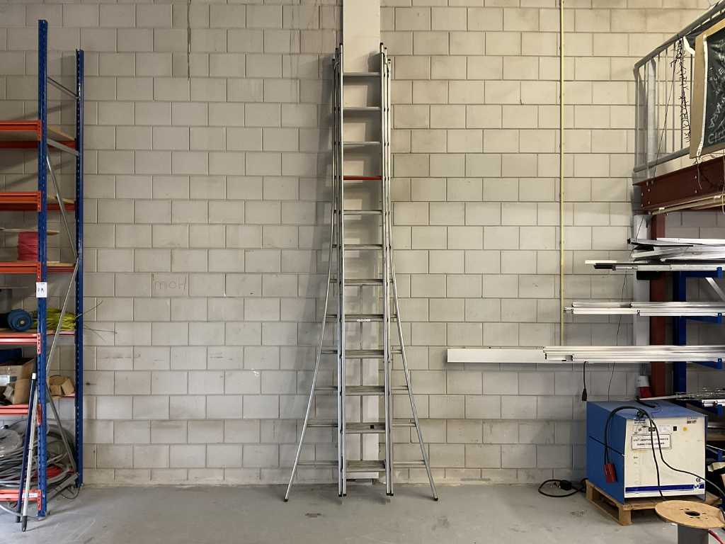 Altrex Trex Pro Ladder