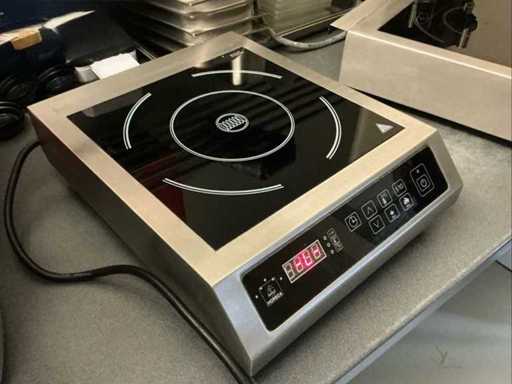 Schott Ceran Induction Fire Other cooking / baking / grilling