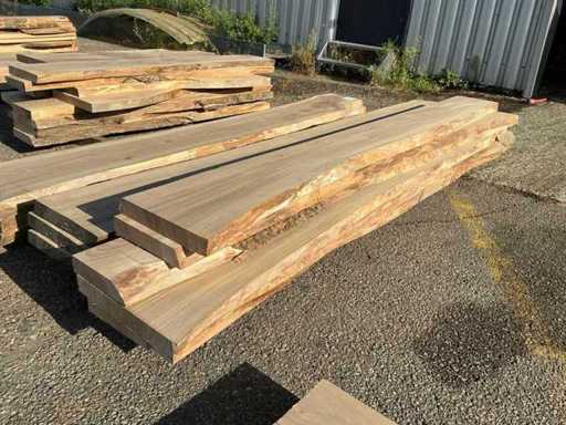 Iepen hout 46mm (10x)