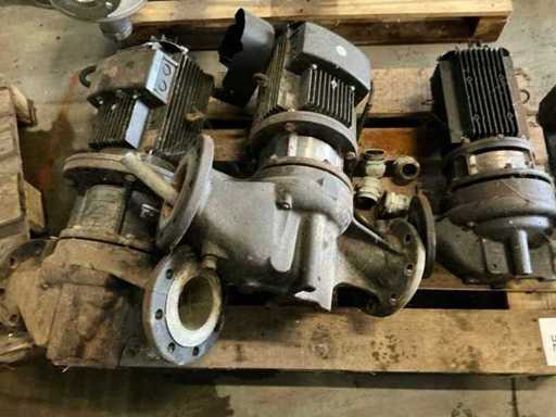 Grundfos Diverse Pompen (3x)
