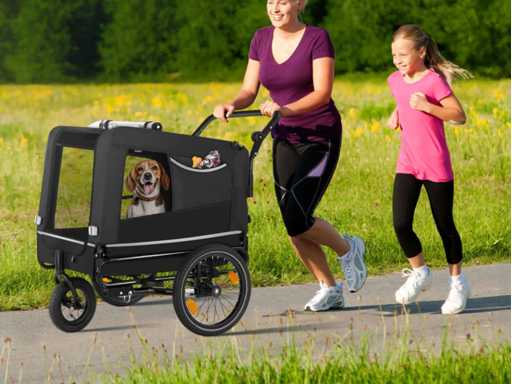 Remorque vélo pour chien WoofRider noir