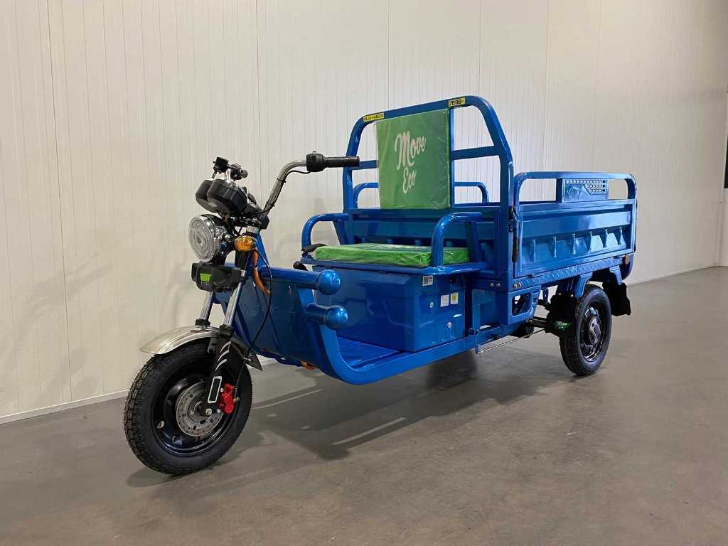 New Electric Move Eco Cargo 500 including moped license plate