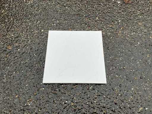 Royal Mosa - 20x20 cm - 9 m2 - Wall tiles