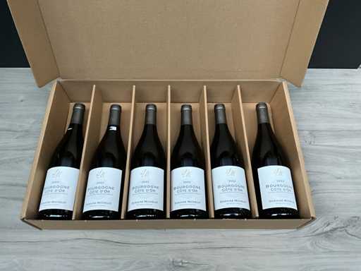 Domaine Michelot Bourgogne Cote d'Or 2022 (6x)