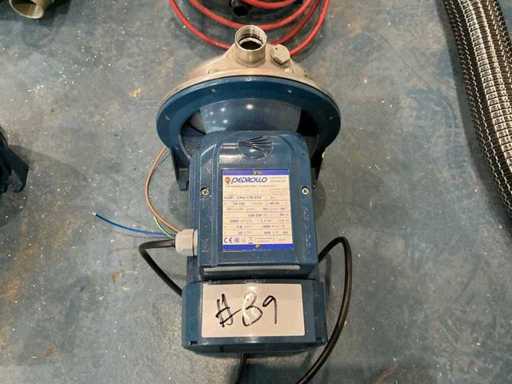Pedrollo CPm 170-STA Stainless Steel Centrifugal Pump - Water Pump