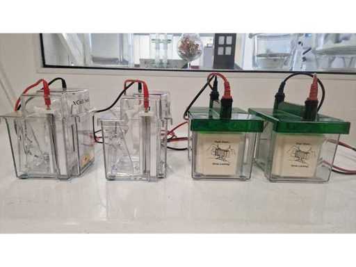 Electrophoresis Tanks – Set of 4