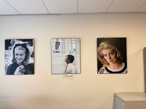 Catherine Deneuve Wanddecoratie (3x)