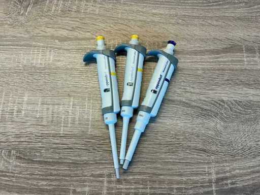 Pipete Eppendorf (3x)