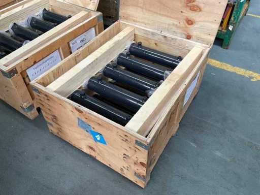 80/40*250 hydraulische cilinder (10x)