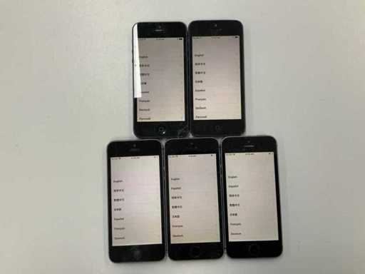 Apple - iPhone 5s 16GB Space Gray i iPhone 5 16GB Space Gray (5x)