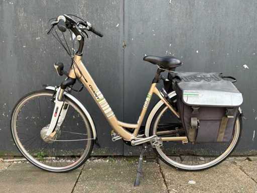 Giant Twist Go Electric Bike