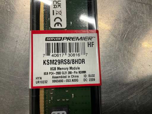 Premier 8 GB Memory modules (60x)