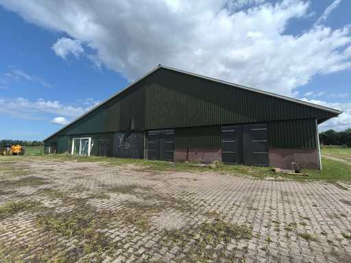 Construc?ia halei - 2010