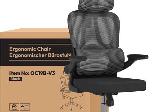 FLEXISPOT ergonomische bureaustoel, met 2D-hoofdsteun