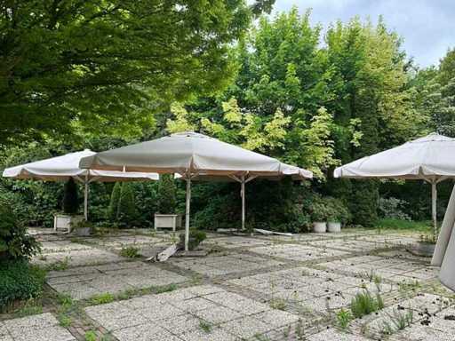 Parasols (4x)