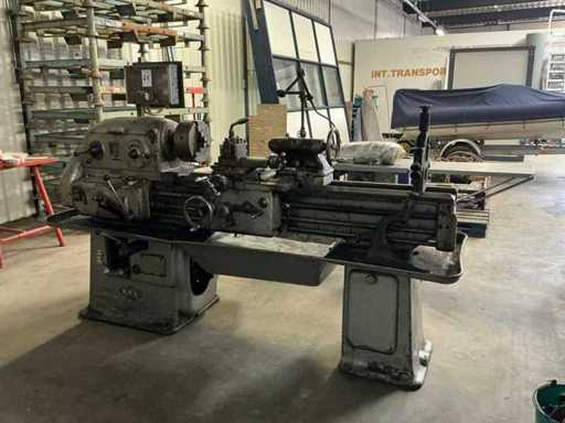 Totarka uniwersalna TOS