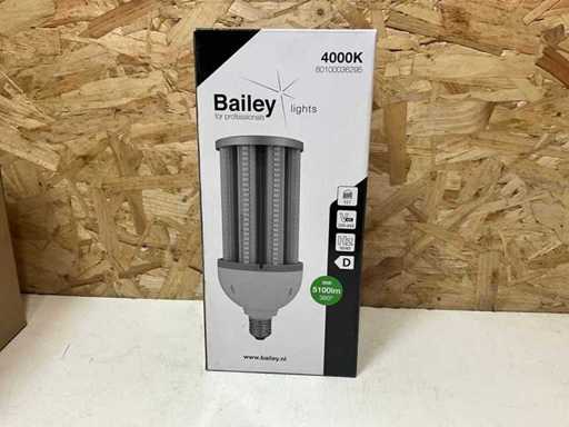 Źródło światła Bailey LED 36W 5100lm (2x)
