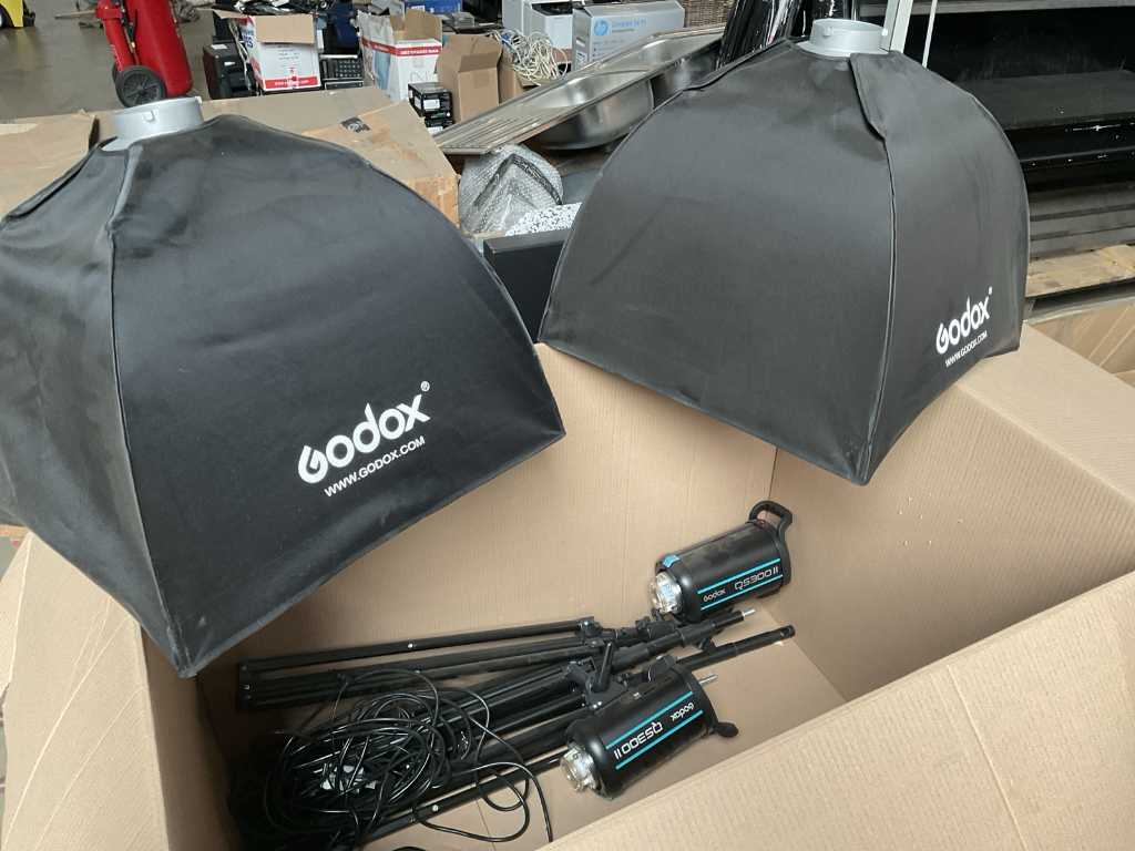 Godox QS300II Flash & Light (2x)