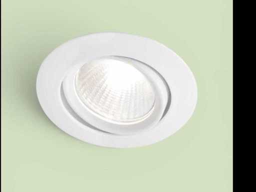 Oval LED inbouwspot kantelbaar