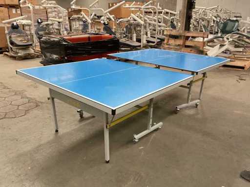 Tavolo da ping-pong