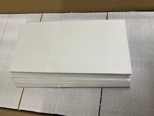 *NOI* Plicuri Staples DIN Long 110x220 mm (27 de cutii)