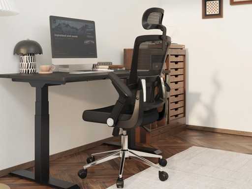 Fauteuil de bureau ergonomique (x2)