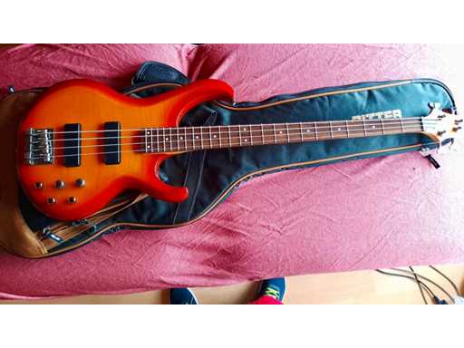 Getekend “Ritter" Elektrische gitaar